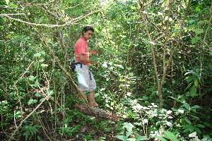  ( - BioBot10346)  @11 [ ] CreativeCommons - Attribution Non-Commercial Share-Alike (2011) Daniel H. Janzen Guanacaste Dry Forest Conservation Fund