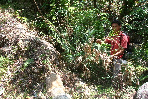  ( - BioBot10374)  @11 [ ] CreativeCommons - Attribution Non-Commercial Share-Alike (2011) Daniel H. Janzen Guanacaste Dry Forest Conservation Fund