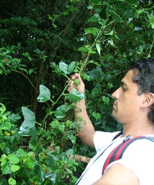  ( - BioBot10431)  @11 [ ] CreativeCommons - Attribution Non-Commercial Share-Alike (2011) Daniel H. Janzen Guanacaste Dry Forest Conservation Fund