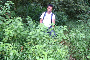  ( - BioBot10599)  @11 [ ] CreativeCommons - Attribution Non-Commercial Share-Alike (2011) Daniel H. Janzen Guanacaste Dry Forest Conservation Fund