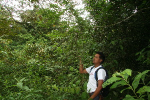  ( - BioBot10627)  @11 [ ] CreativeCommons - Attribution Non-Commercial Share-Alike (2010) Daniel H. Janzen Guanacaste Dry Forest Conservation Fund