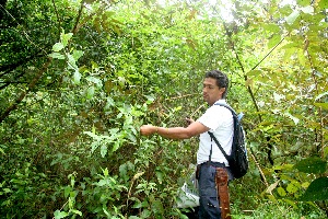  ( - BioBot10631)  @11 [ ] CreativeCommons - Attribution Non-Commercial Share-Alike (2010) Daniel H. Janzen Guanacaste Dry Forest Conservation Fund