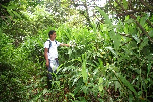  ( - BioBot10633)  @11 [ ] CreativeCommons - Attribution Non-Commercial Share-Alike (2010) Daniel H. Janzen Guanacaste Dry Forest Conservation Fund