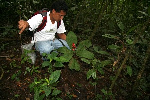  ( - BioBot10919)  @11 [ ] CreativeCommons - Attribution Non-Commercial Share-Alike (2010) Daniel H. Janzen Guanacaste Dry Forest Conservation Fund