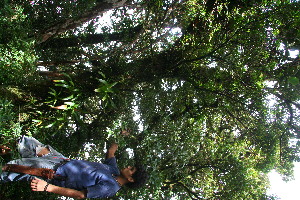  ( - BioBot10937)  @11 [ ] CreativeCommons - Attribution Non-Commercial Share-Alike (2010) Daniel H. Janzen Guanacaste Dry Forest Conservation Fund