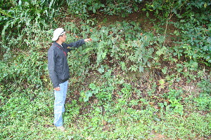  (Kohleria - BioBot10961)  @11 [ ] CreativeCommons - Attribution Non-Commercial Share-Alike (2010) Daniel H. Janzen Guanacaste Dry Forest Conservation Fund