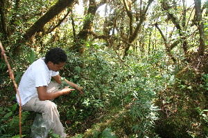  ( - BioBot10976)  @11 [ ] CreativeCommons - Attribution Non-Commercial Share-Alike (2010) Daniel H. Janzen Guanacaste Dry Forest Conservation Fund