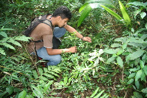  ( - BioBot10979)  @11 [ ] CreativeCommons - Attribution Non-Commercial Share-Alike (2010) Daniel H. Janzen Guanacaste Dry Forest Conservation Fund