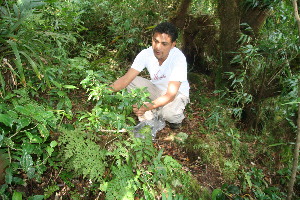  ( - BioBot10980)  @11 [ ] CreativeCommons - Attribution Non-Commercial Share-Alike (2010) Daniel H. Janzen Guanacaste Dry Forest Conservation Fund