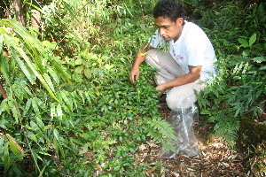  ( - BioBot10982)  @11 [ ] CreativeCommons - Attribution Non-Commercial Share-Alike (2010) Daniel H. Janzen Guanacaste Dry Forest Conservation Fund