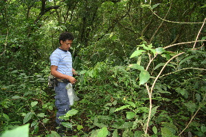  ( - BioBot11122)  @11 [ ] CreativeCommons - Attribution Non-Commercial Share-Alike (2010) Daniel H. Janzen Guanacaste Dry Forest Conservation Fund