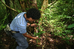  ( - BioBot11126)  @11 [ ] CreativeCommons - Attribution Non-Commercial Share-Alike (2010) Daniel H. Janzen Guanacaste Dry Forest Conservation Fund