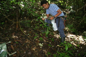  ( - BioBot11127)  @11 [ ] CreativeCommons - Attribution Non-Commercial Share-Alike (2010) Daniel H. Janzen Guanacaste Dry Forest Conservation Fund