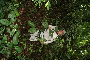  ( - BioBot11215)  @11 [ ] CreativeCommons - Attribution Non-Commercial Share-Alike (2010) Daniel H. Janzen Guanacaste Dry Forest Conservation Fund