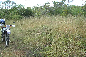  ( - BioBot11599)  @11 [ ] CreativeCommons - Attribution Non-Commercial Share-Alike (2010) Daniel H. Janzen Guanacaste Dry Forest Conservation Fund