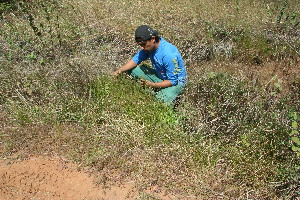  ( - BioBot11748)  @11 [ ] CreativeCommons - Attribution Non-Commercial Share-Alike (2010) Daniel H. Janzen Guanacaste Dry Forest Conservation Fund