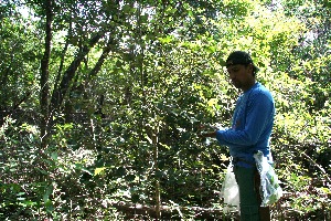  ( - BioBot11756)  @11 [ ] CreativeCommons - Attribution Non-Commercial Share-Alike (2010) Daniel H. Janzen Guanacaste Dry Forest Conservation Fund