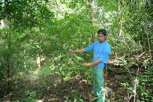  ( - BioBot11764)  @11 [ ] CreativeCommons - Attribution Non-Commercial Share-Alike (2010) Daniel H. Janzen Guanacaste Dry Forest Conservation Fund