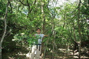  ( - BioBot11771)  @11 [ ] CreativeCommons - Attribution Non-Commercial Share-Alike (2010) Daniel H. Janzen Guanacaste Dry Forest Conservation Fund
