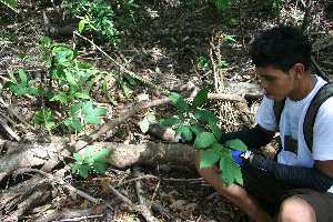  ( - BioBot11849)  @11 [ ] CreativeCommons - Attribution Non-Commercial Share-Alike (2010) Daniel H. Janzen Guanacaste Dry Forest Conservation Fund