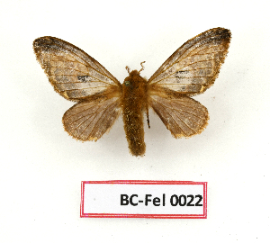  ( - BC-Fel0022)  @11 [ ] Unspecified (default): All Rights Reserved  Unspecified Unspecified