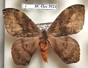  ( - Bc-Her5924)  @11 [ ] Unspecified (default): All Rights Reserved  Unspecified Unspecified