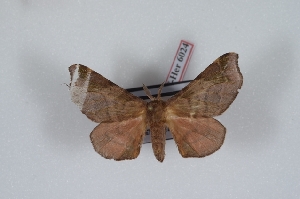  ( - Bc-Her6024)  @11 [ ] Unspecified (default): All Rights Reserved  Unspecified Unspecified