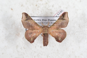  ( - Bc-Her6146)  @11 [ ] Unspecified (default): All Rights Reserved  Unspecified Unspecified