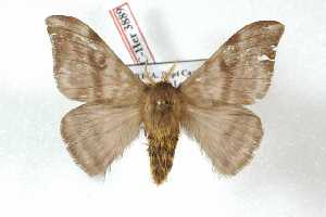  ( - BC-Her3889)  @13 [ ] Copyright (2010) Daniel Herbin Research Collection of Daniel Herbin