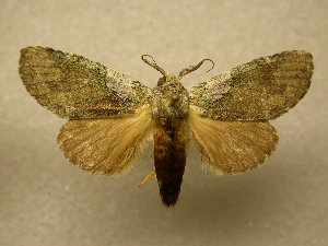  ( - 10-MISC-141)  @14 [ ] Unspecified (default): All Rights Reserved  Unspecified Unspecified