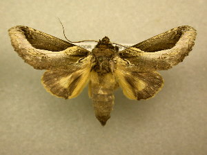  ( - 10-MISC-164)  @14 [ ] Unspecified (default): All Rights Reserved  Unspecified Unspecified