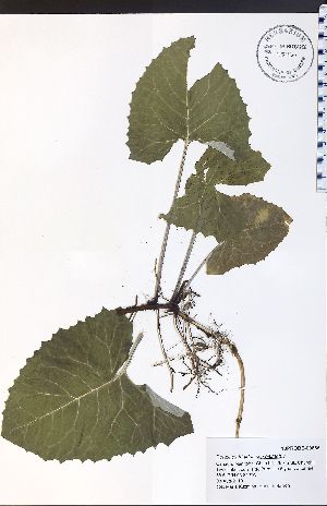  ( - 10PROBE-00666)  @11 [ ] No Rights Reserved (nrr) (2016) Unspecified University of Guelph