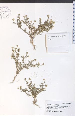  ( - 10PROBE-00681)  @11 [ ] No Rights Reserved (nrr) (2016) Unspecified University of Guelph