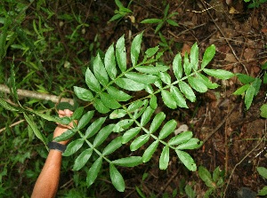  ( - BioBot00335)  @11 [ ] Copyright (2010) Unspecified Unspecified