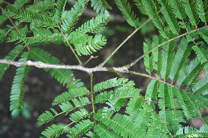  ( - BioBot00449)  @11 [ ] Copyright (2010) Unspecified Unspecified