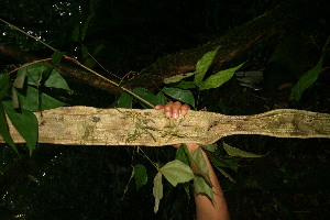  ( - BioBot05120)  @11 [ ] Copyright (2010) Unspecified Unspecified