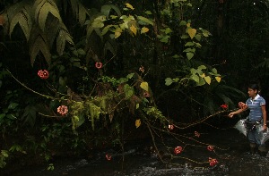  ( - BioBot05239)  @11 [ ] Copyright (2010) Unspecified Unspecified