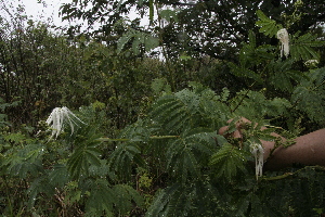  ( - BioBot10105)  @11 [ ] Copyright (2010) Unspecified Unspecified