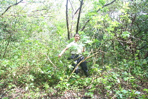  ( - BioBot10127)  @11 [ ] Copyright (2010) Unspecified Unspecified