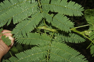  ( - BioBot10127)  @11 [ ] Copyright (2010) Unspecified Unspecified