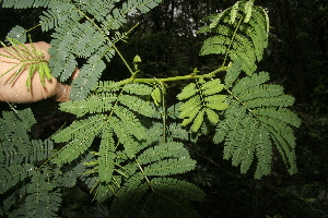  ( - BioBot10128)  @11 [ ] Copyright (2010) Unspecified Unspecified