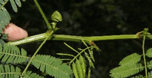  ( - BioBot10128)  @11 [ ] Copyright (2010) Unspecified Unspecified