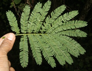  ( - BioBot10128)  @11 [ ] Copyright (2010) Unspecified Unspecified