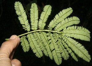  ( - BioBot10128)  @11 [ ] Copyright (2010) Unspecified Unspecified