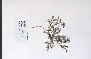  ( - 09PROBE-05025)  @11 [ ] Copyright (2010) Unspecified Unspecified