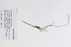  ( - 09PROBE-05099)  @11 [ ] Copyright (2010) Unspecified Unspecified