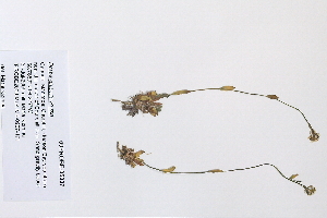  ( - 09PROBE-05337)  @11 [ ] Copyright (2010) Unspecified Unspecified