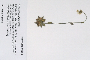  ( - 09PROBE-05566)  @11 [ ] Copyright (2010) Unspecified Unspecified