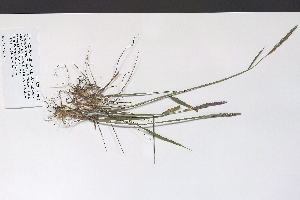  ( - 09PROBE-05613)  @11 [ ] Copyright (2010) Unspecified Unspecified