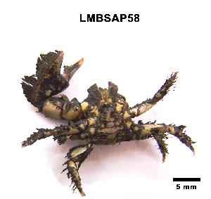  ( - LMBSAP17-001)  @13 [ ] Unspecified (default): All Rights Reserved  Unspecified Unspecified